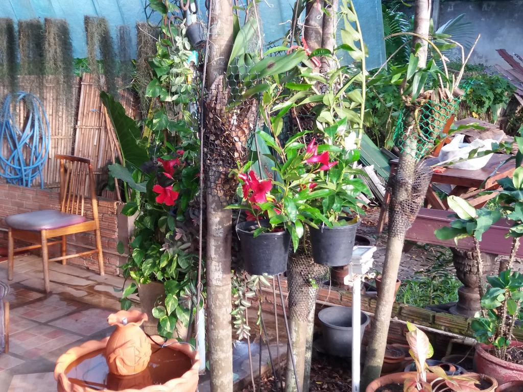 Hollanda Montri Guesthouse Chiang Mai Exterior photo